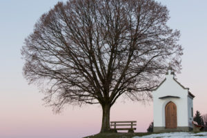 chapel with tree and bench chapel with tree and bench
